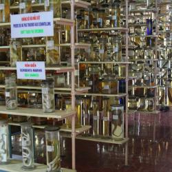 Institute of Oceanography, Nha Trang Hotels Find