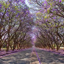 Harare Hotels Find