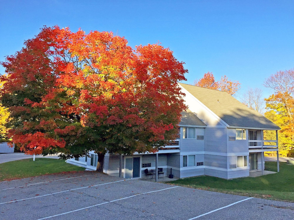 KCIS 541 New Killington Condo Close To Mtn Sleeps 4 - thumb 4
