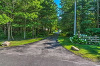 Serene Orchard Park Apartment w / Large Yard  Patio