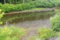 Tentrr Fields of Dreams at Callicoon