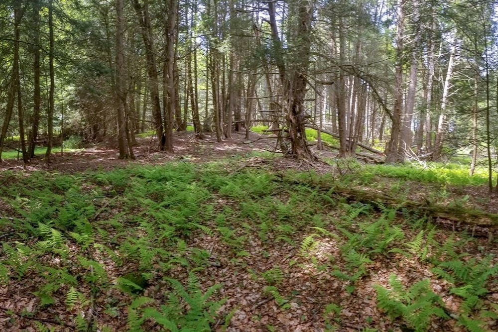 Tentrr Fields Of Dreams At Callicoon - thumb 1