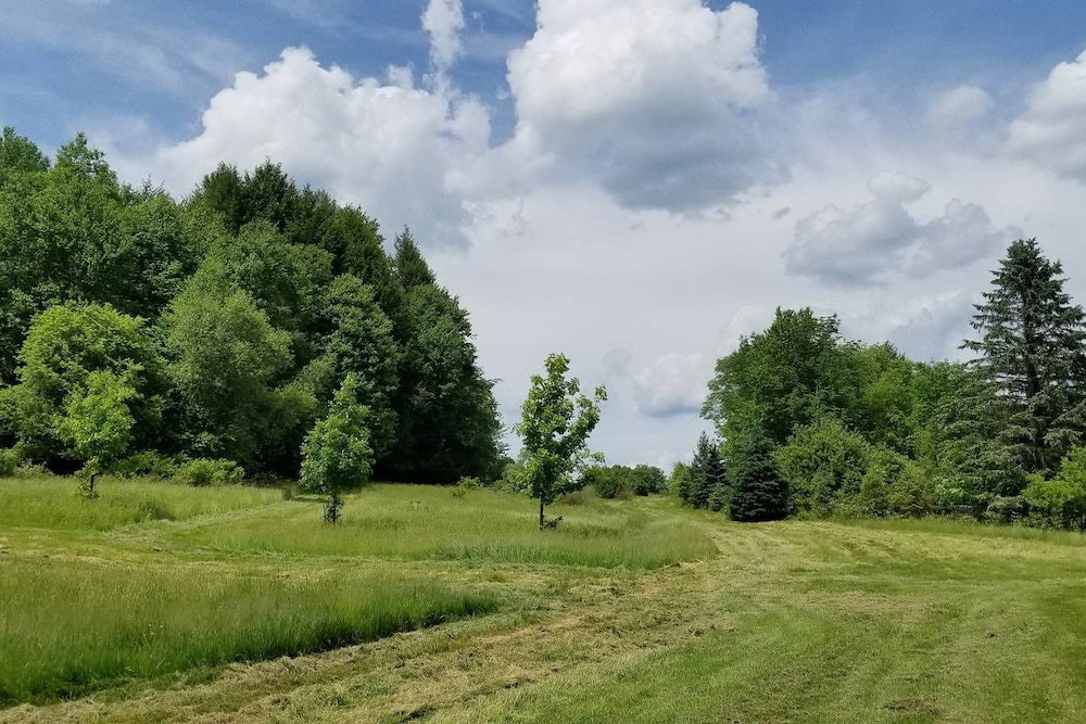 Tentrr Fields Of Dreams At Callicoon - thumb 3