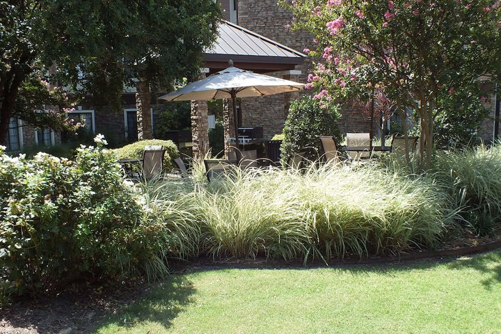 Sonesta ES Suites Dallas - Las Colinas - thumb 1