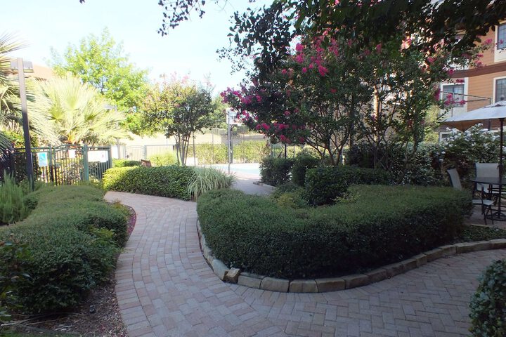 Sonesta ES Suites Dallas - Las Colinas - thumb 2