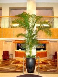Book Cities Accommodation Vacations, Hotels Find Hotels Find