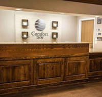 Quality Inn  Suites - Hotels Find