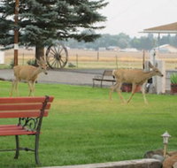 Rim Rock Motel - Hotels Find