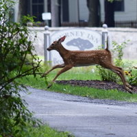 Journey Inn Bed  Breakfast