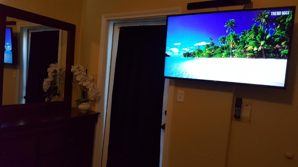 1 Palm Tree - thumb 2