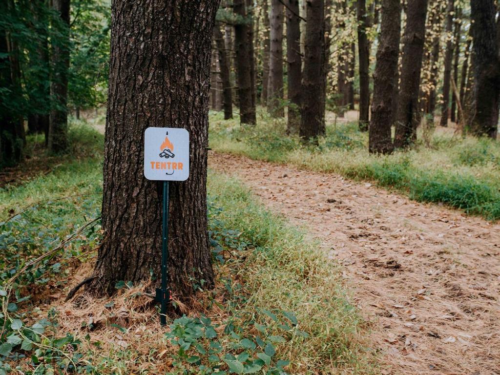 Tentrr Forest With A Trout Creek - thumb 2