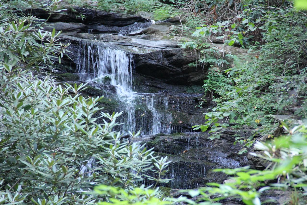 Kingwood Country Club And Resort - thumb 0