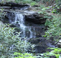 Kingwood Country Club and Resort - Hotels Find