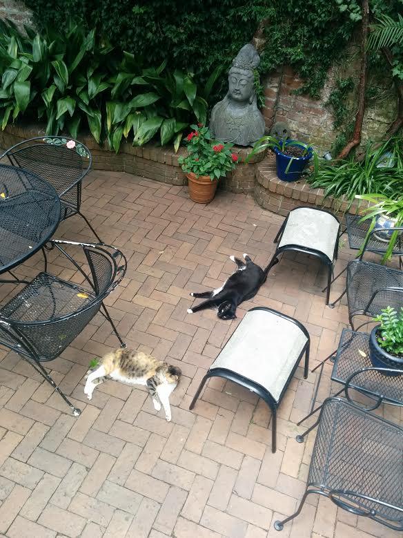 Savannah Bed & Breakfast Inn - thumb 9