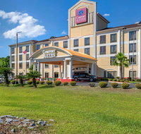 Comfort Suites Gateway - Hotels Find