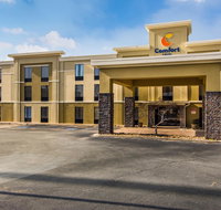 Comfort Inn - Hotels Find