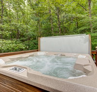 Lazy Bear Den - 2 Bed 1 Bath Vacation home in Blue Ridge - Hotels Find