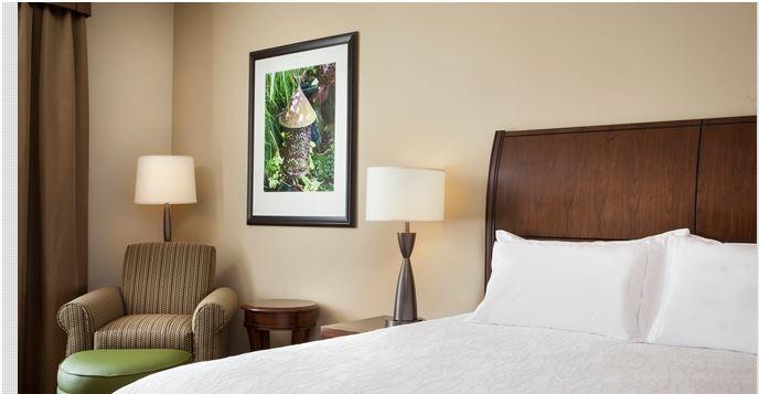 Hilton Garden Inn Bettendorf/ Quad Cities - thumb 5