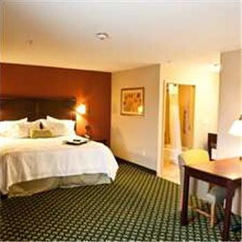 Hampton Inn & Suites Ankeny - thumb 15