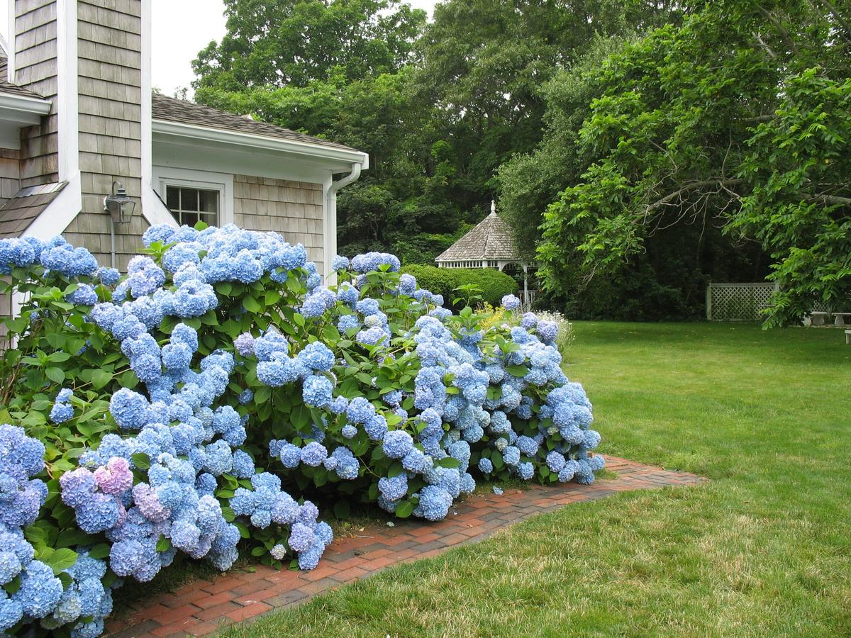 Ashley Manor - thumb 26