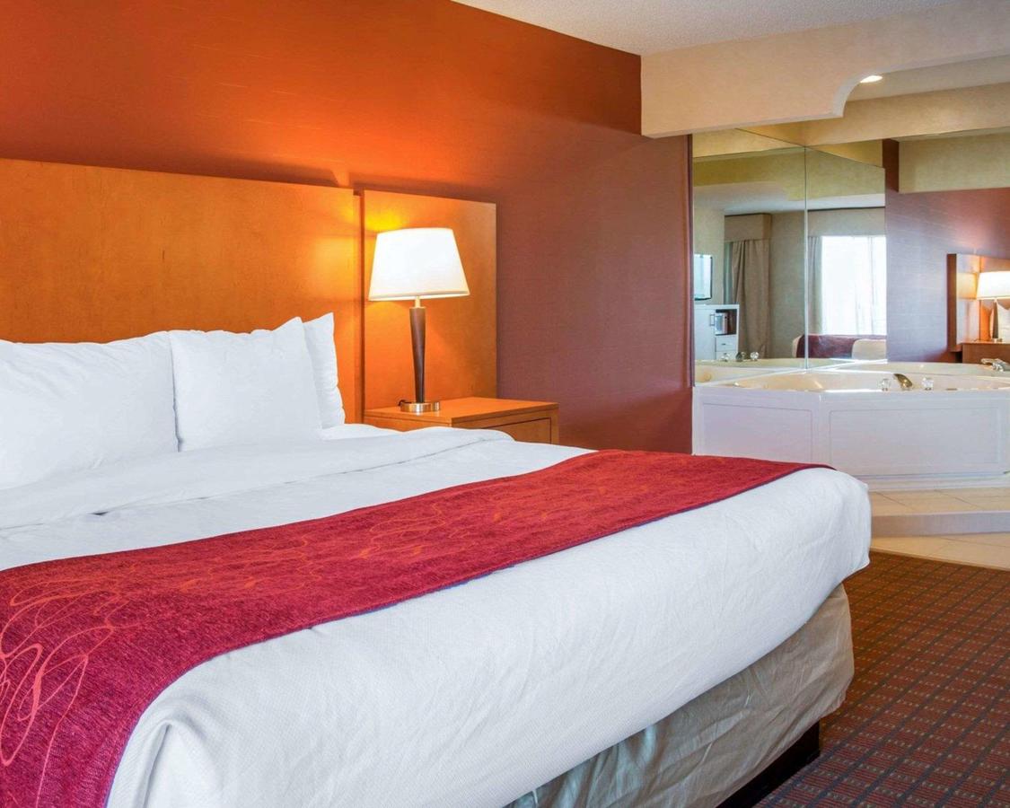 Comfort Suites Auburn Hills - thumb 27