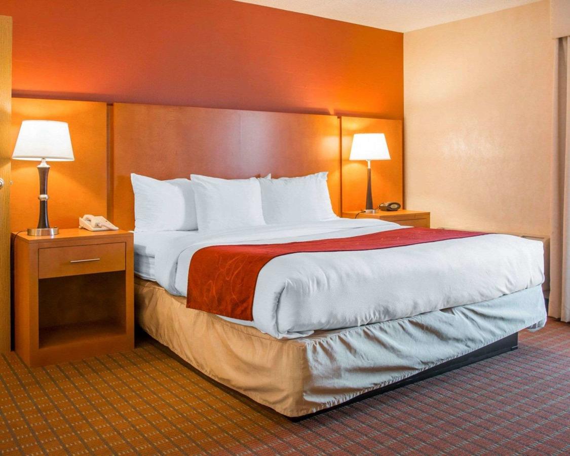 Comfort Suites Auburn Hills - thumb 28
