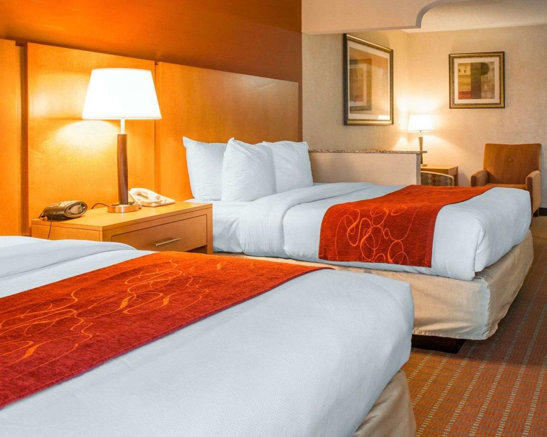 Comfort Suites Auburn Hills - thumb 21