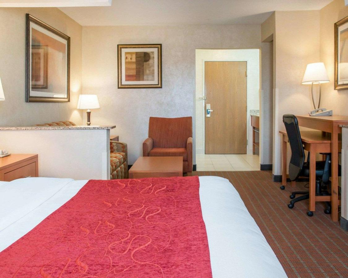 Comfort Suites Auburn Hills - thumb 20
