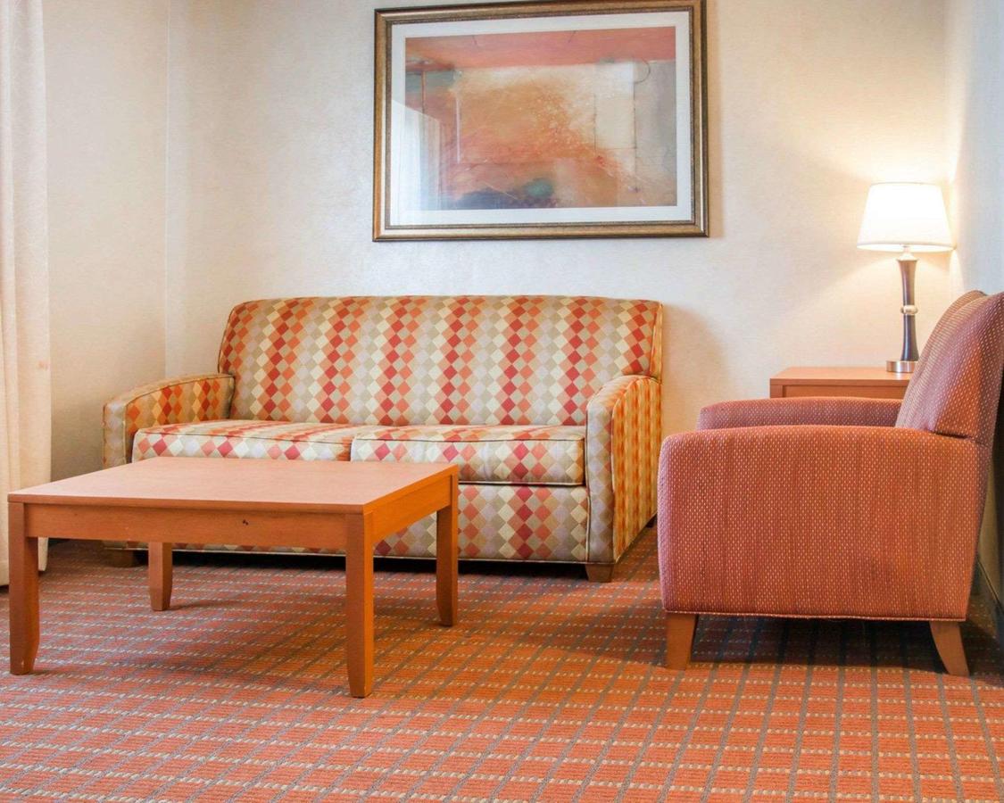 Comfort Suites Auburn Hills - thumb 4