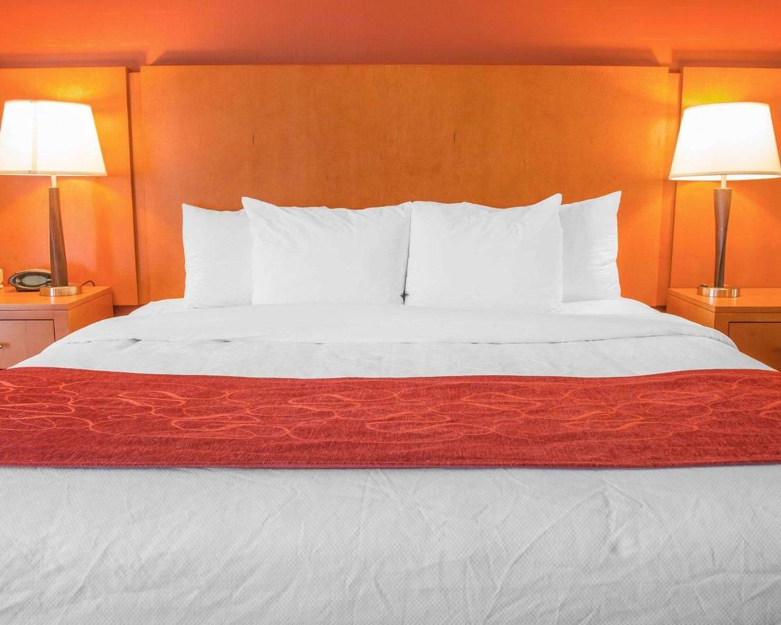 Comfort Suites Auburn Hills - thumb 1