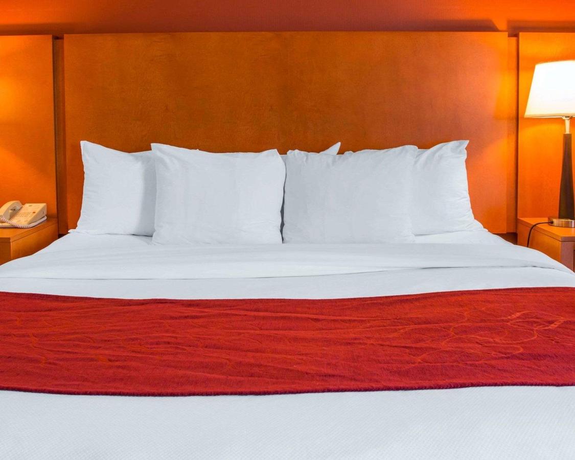 Comfort Suites Auburn Hills - thumb 26