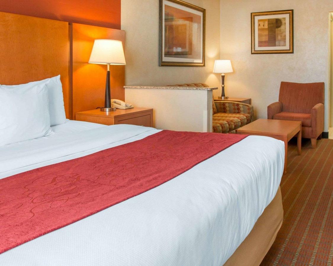 Comfort Suites Auburn Hills - thumb 16
