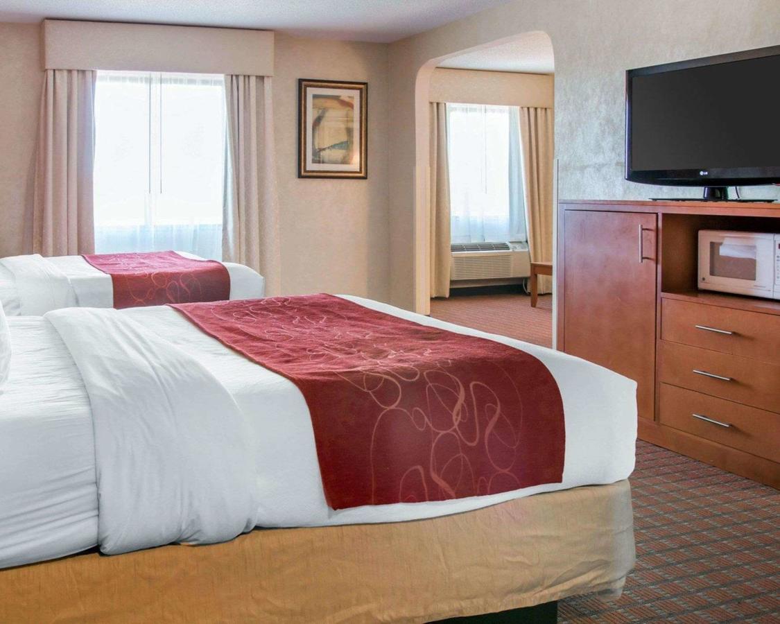 Comfort Suites Auburn Hills - thumb 25