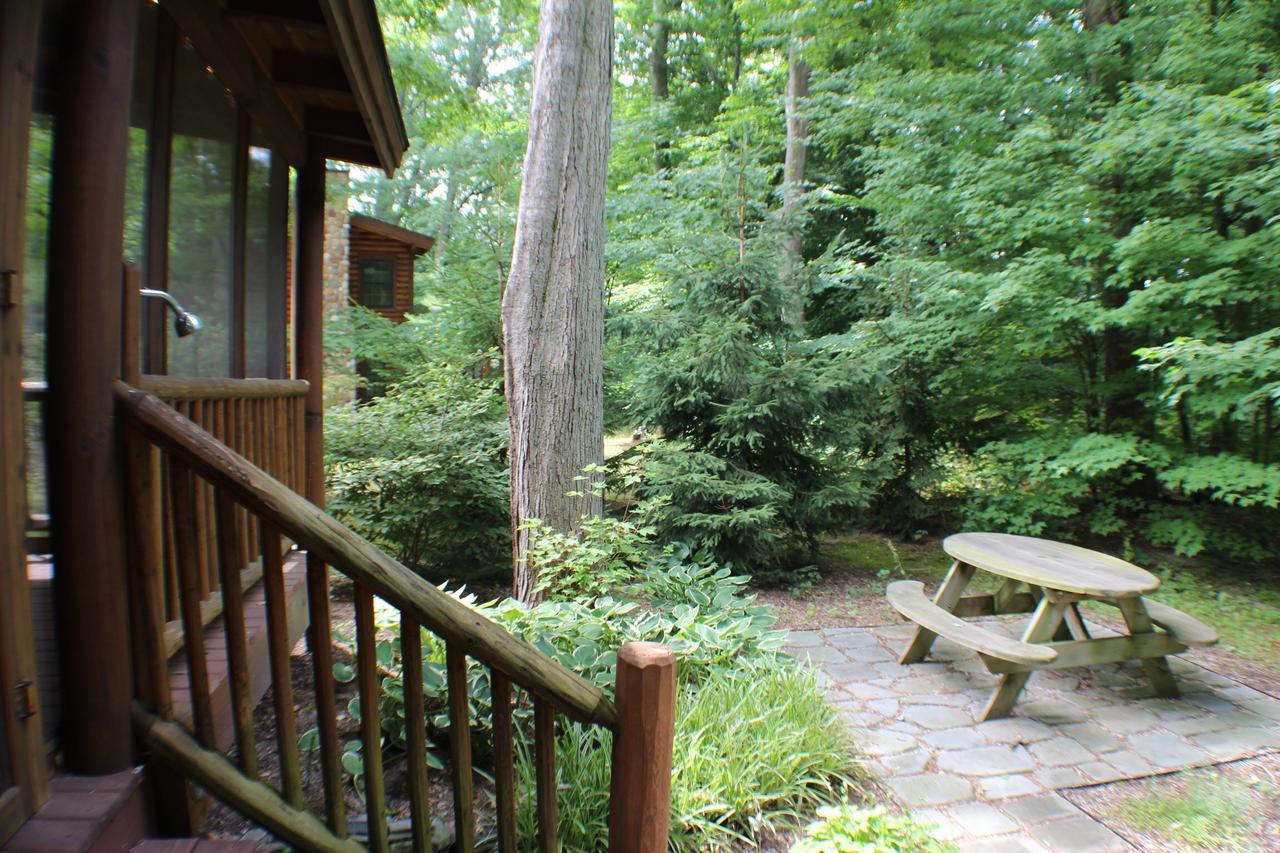 Coyote Cabin - thumb 15