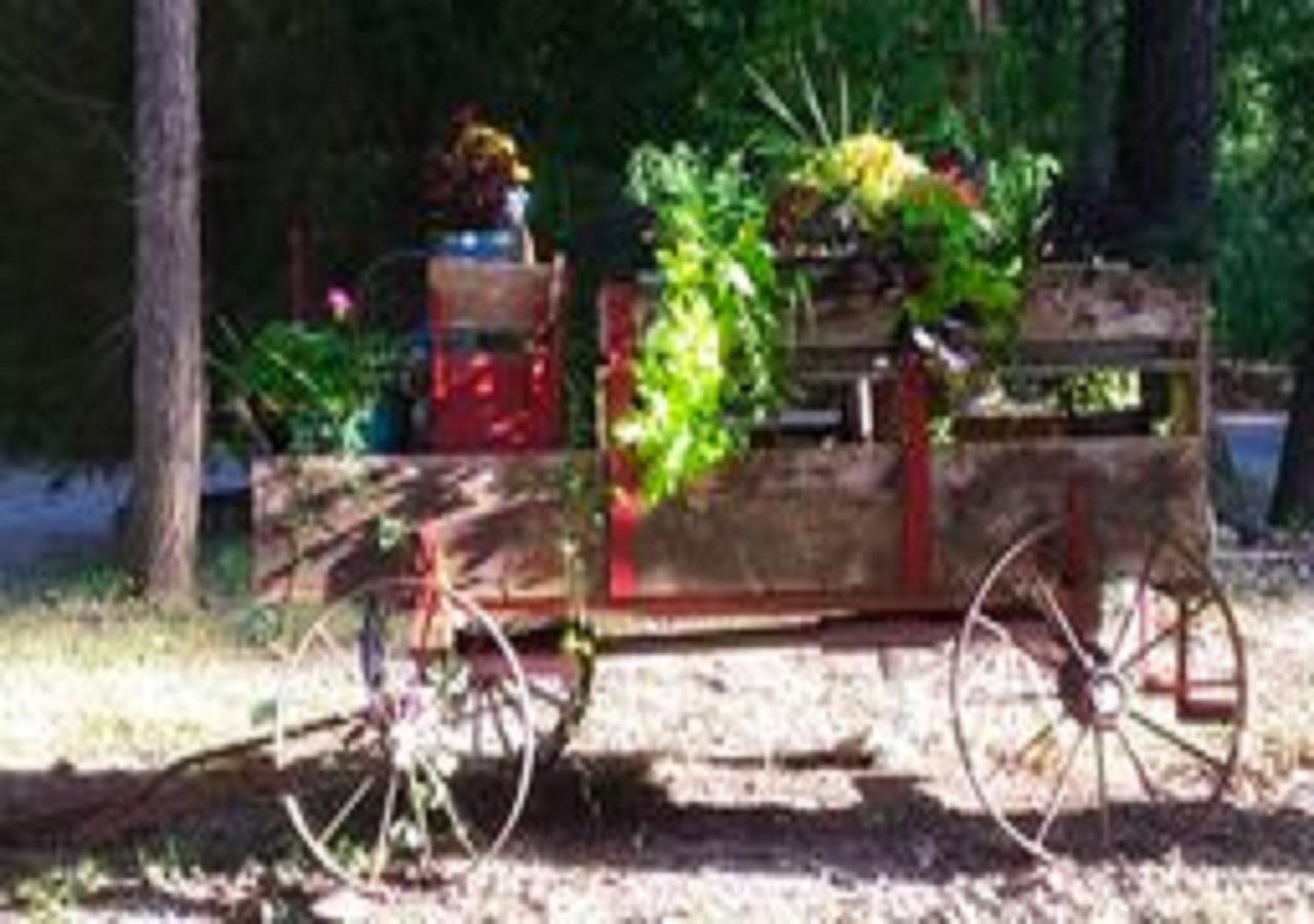 Shady Acre Motel - thumb 4