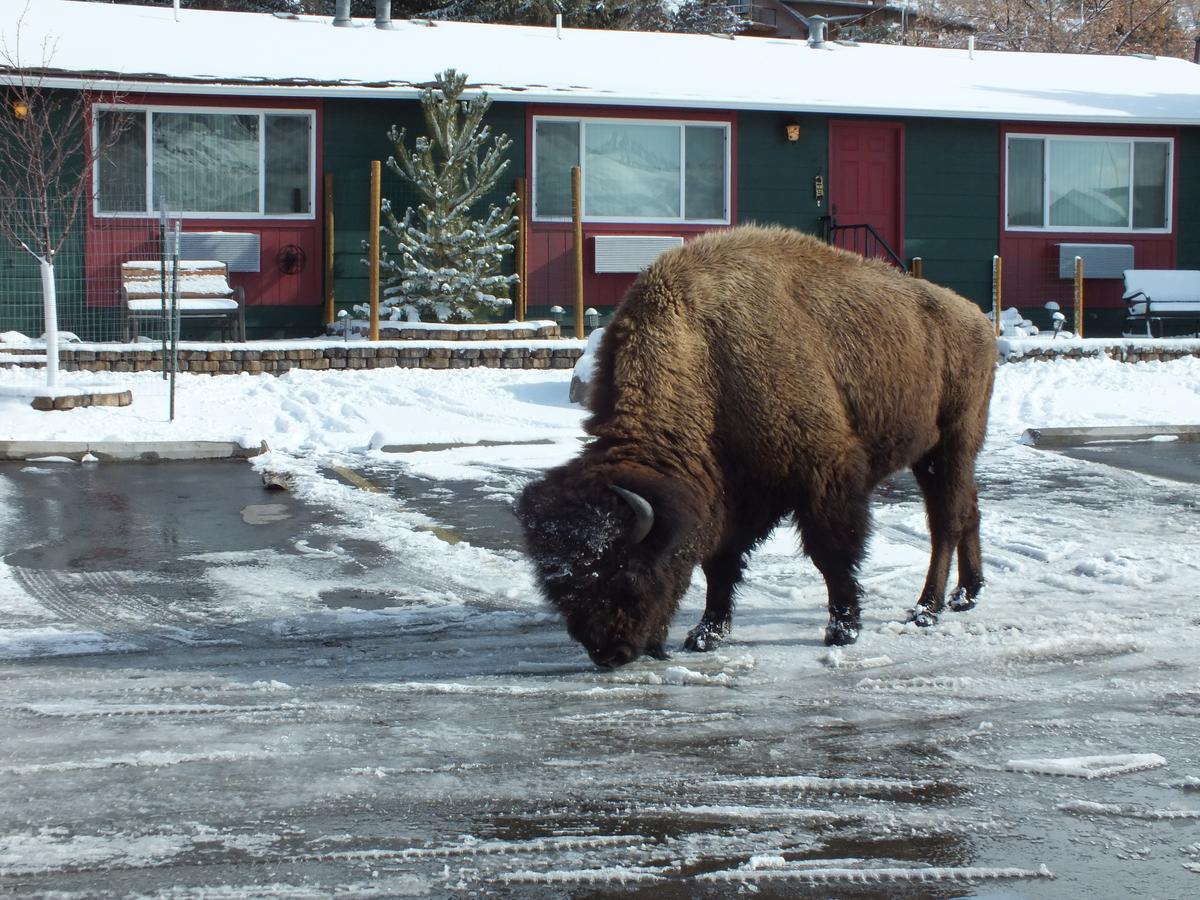 Yellowstone Gateway Inn - thumb 1