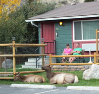 Yellowstone Gateway Inn - Hotels Find