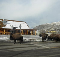 Cowboy's Lodge - Hotels Find