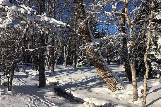 Chickadee-Chalet - thumb 18