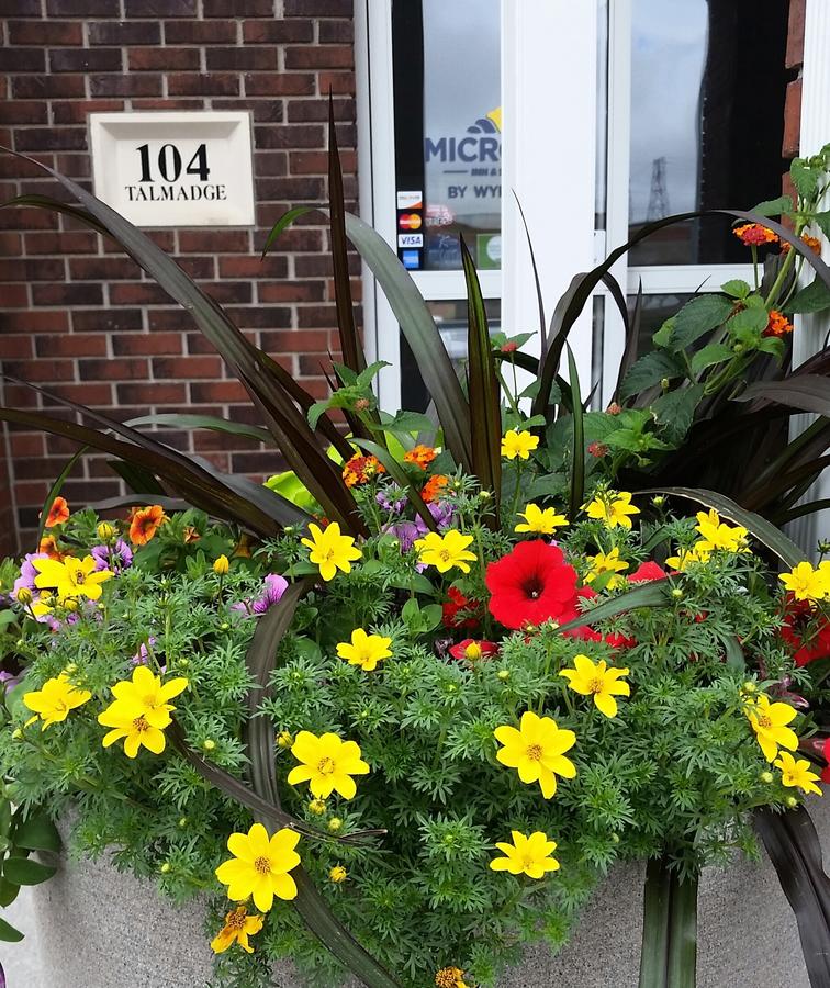 Microtel Inn & Suites - Kearney - thumb 13