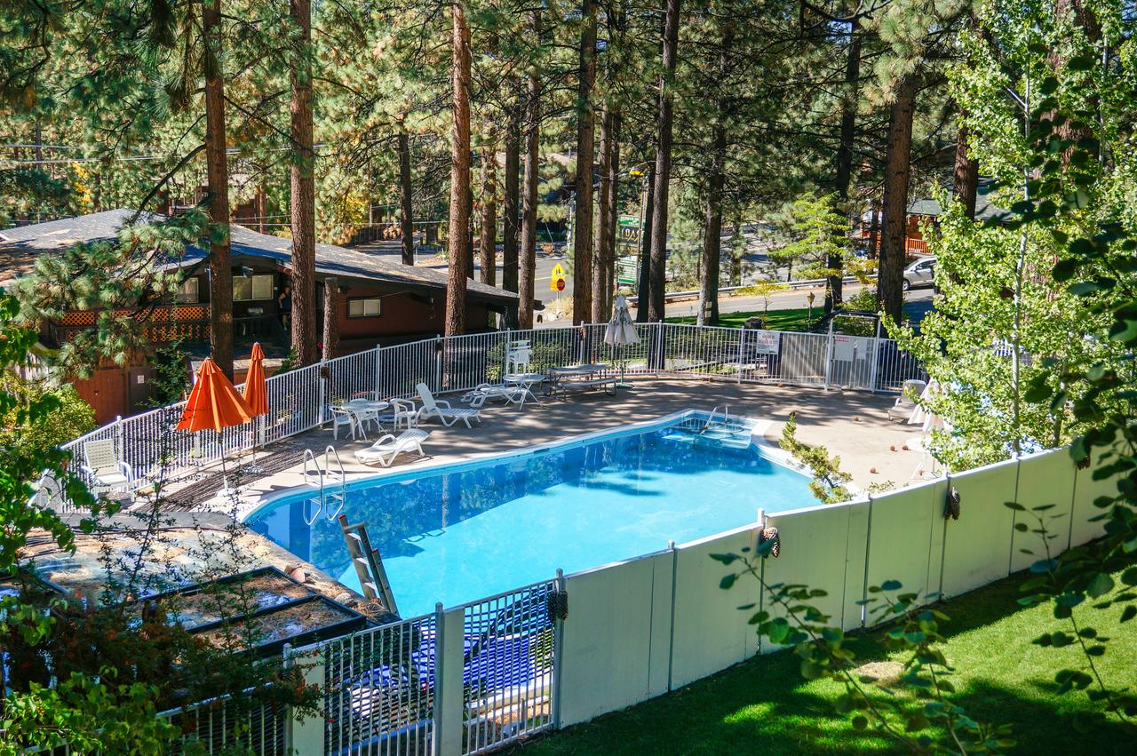 Pine Cone Resort 317 - thumb 16