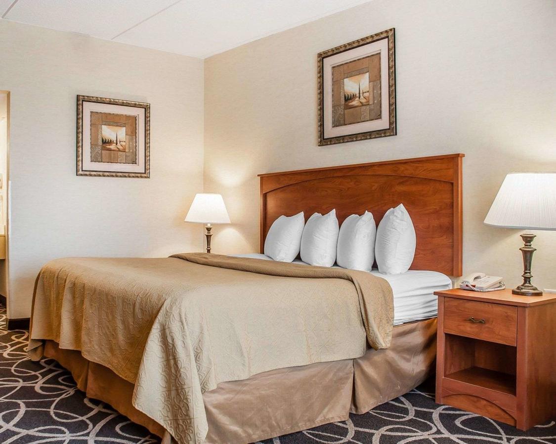 Quality Hotel & Suites At The Falls - thumb 39