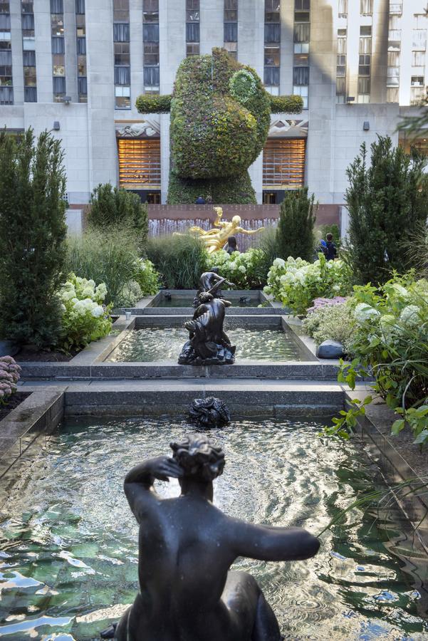 Courtyard New York Manhattan/Midtown East - thumb 30