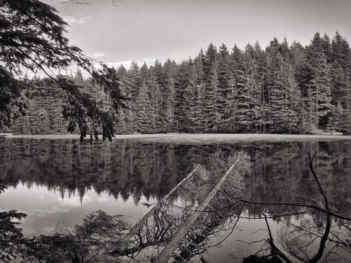 Otter's Pond Bed And Breakfast - thumb 29