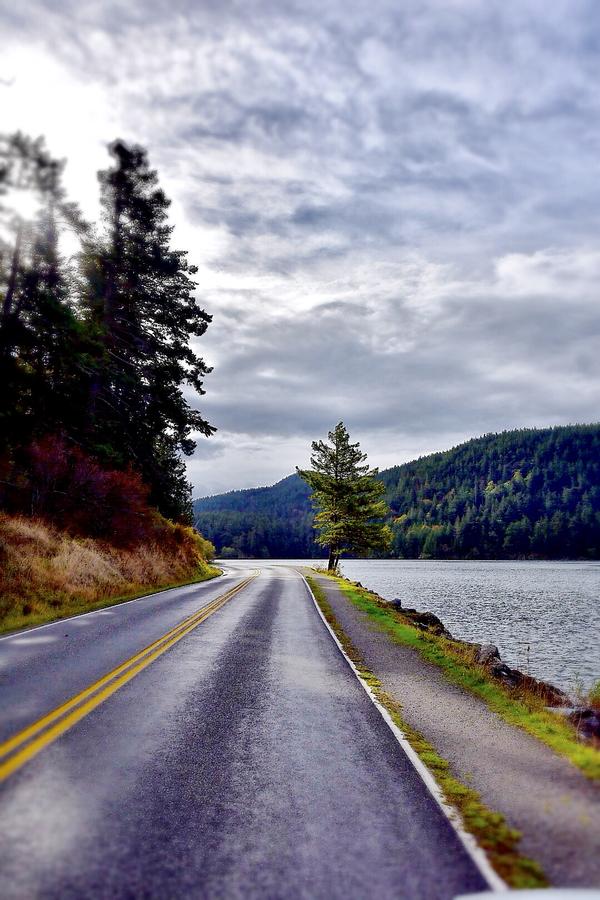 Otter's Pond Bed And Breakfast - thumb 28