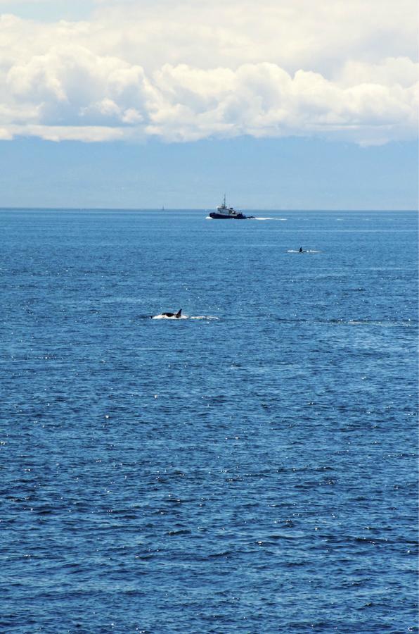 Otter's Pond Bed And Breakfast - thumb 26