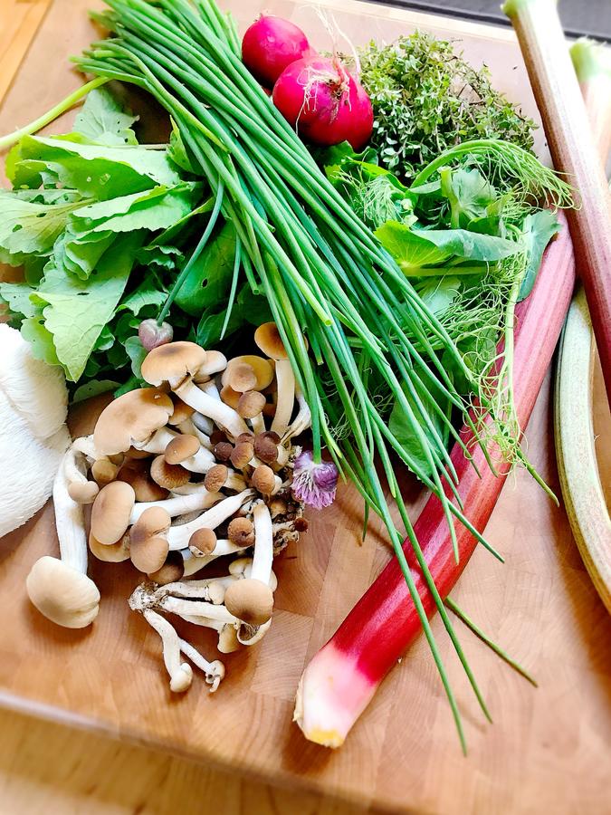 Otter's Pond Bed And Breakfast - thumb 24