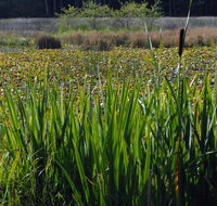 Otter's Pond Bed and Breakfast - Hotels Find