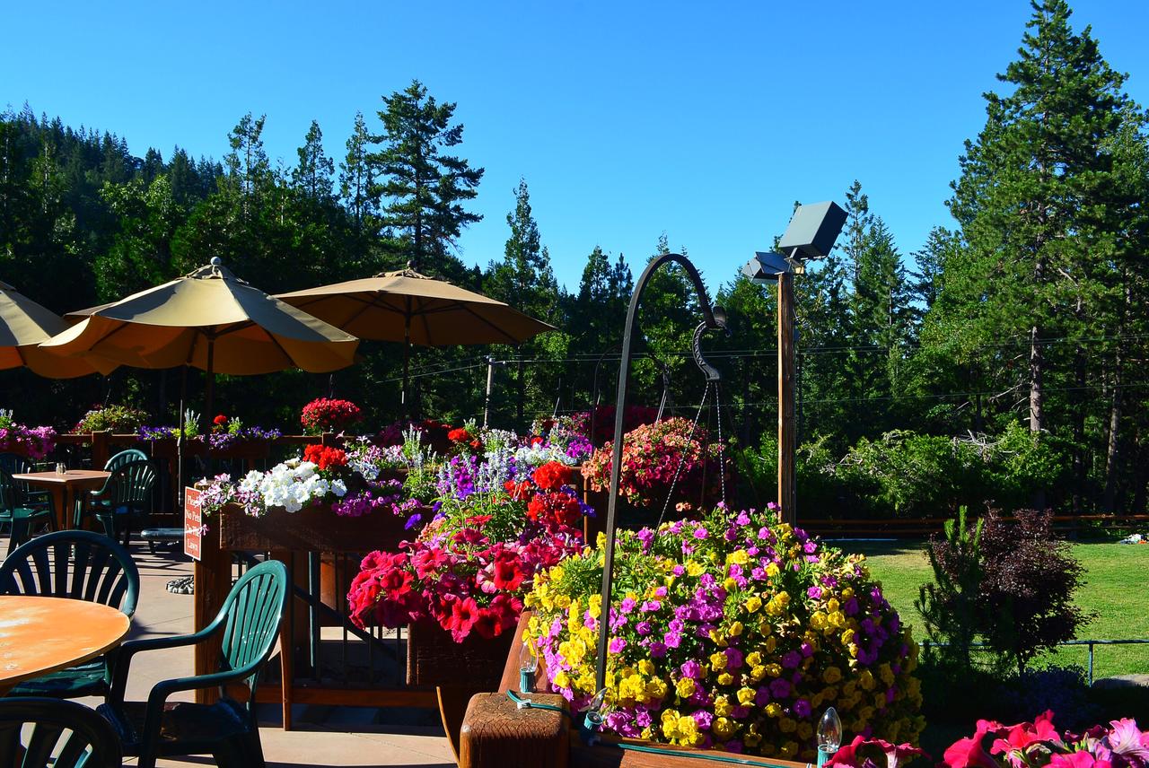 Callahan's Lodge - thumb 14