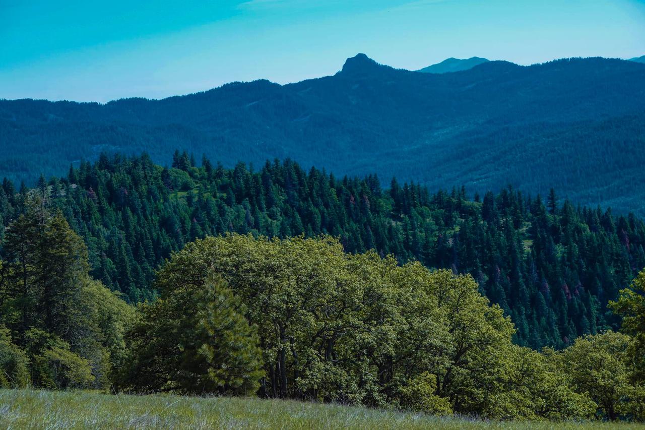 Callahan's Lodge - thumb 1